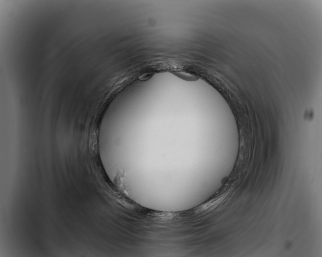 X0000103430096200809121047