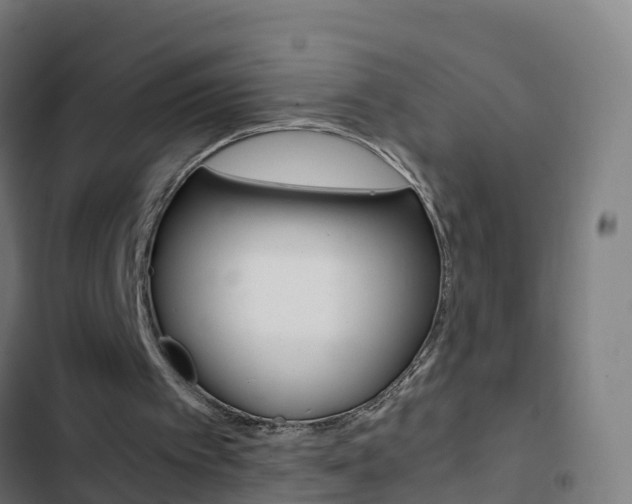 X0000103430097200809121047
