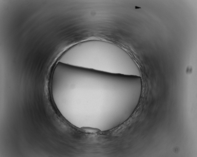 X0000103430098200809121047