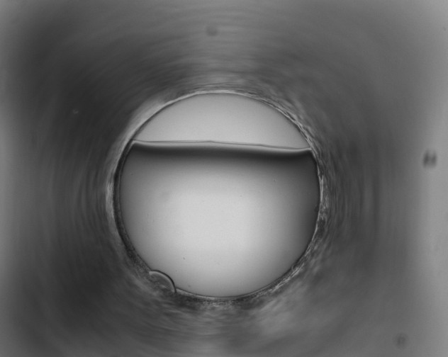 X0000103430099200809121047