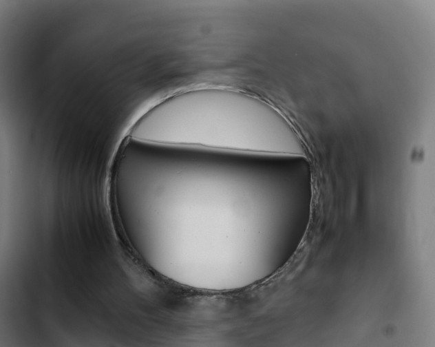 X0000103430100200809121047