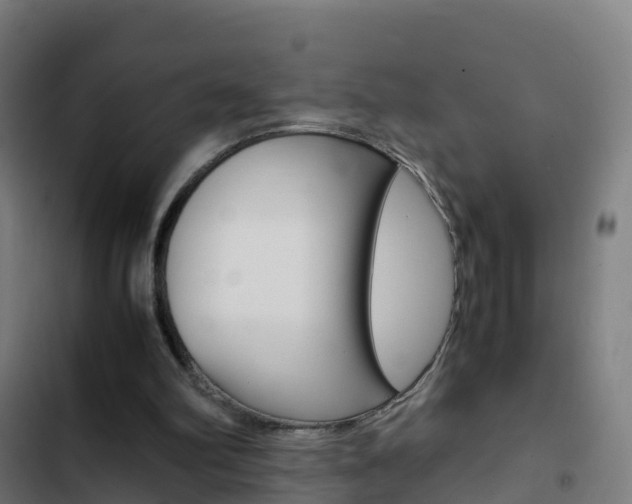 X0000103430102200809121046