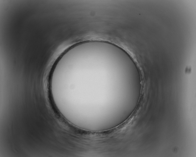 X0000103430103200809121046