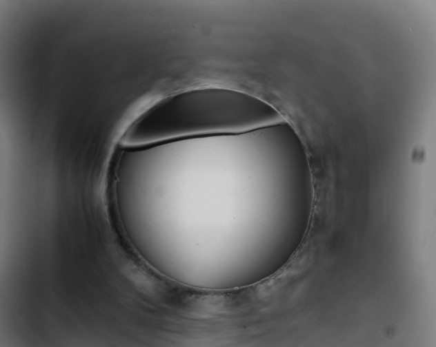 X0000103430104200809121046