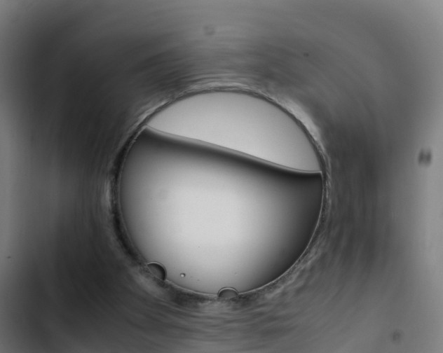 X0000103430105200809121046