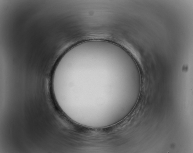 X0000103430107200809121046