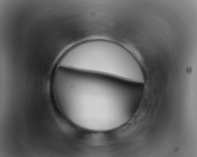 X0000103430108200809121046