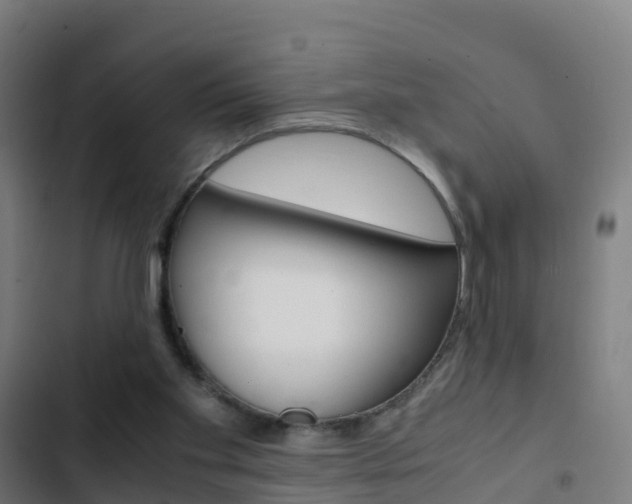 X0000103430109200809121046