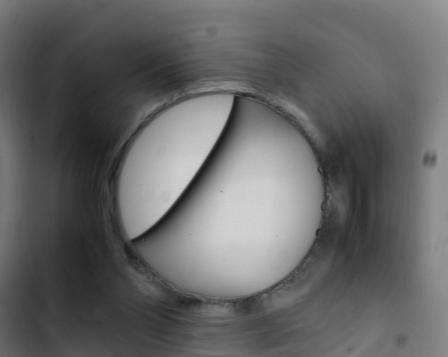 X0000103430110200809121046