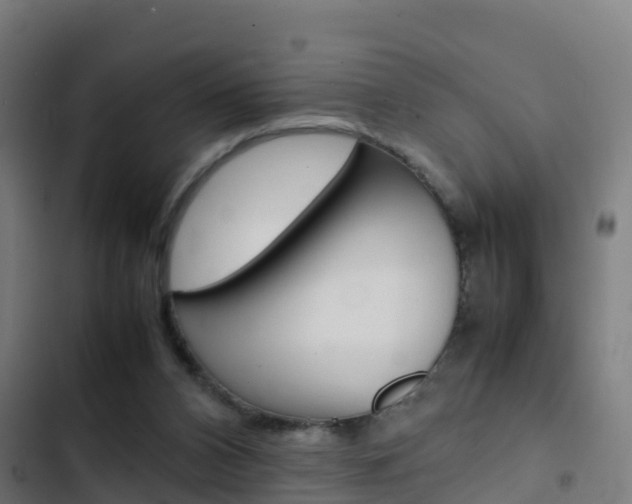 X0000103430112200809121046