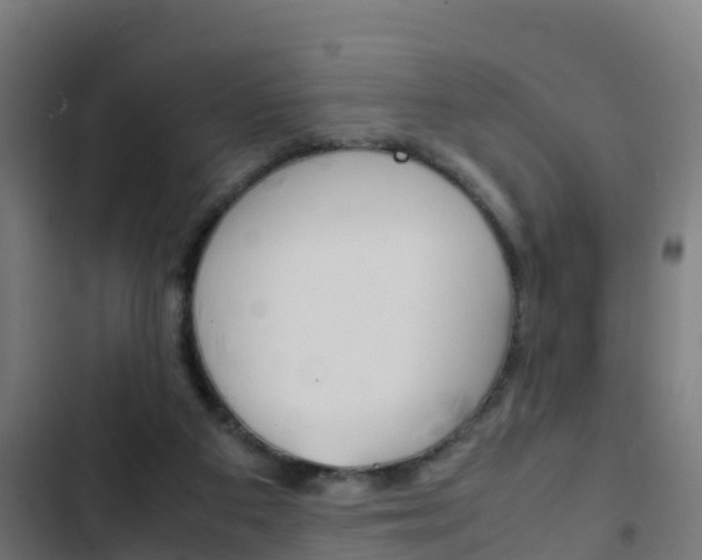 X0000103430113200809121046