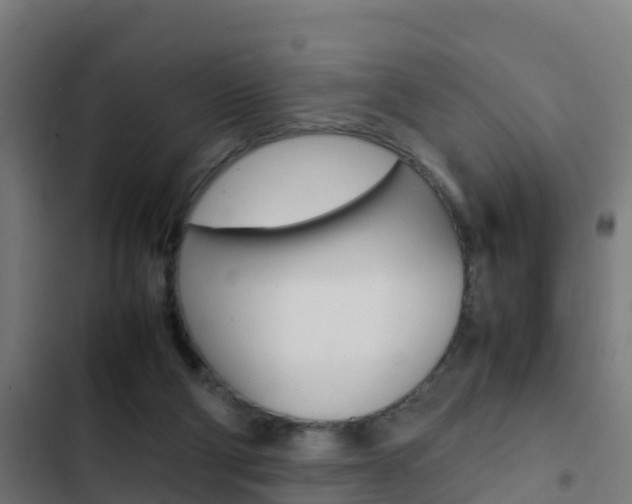 X0000103430114200809121046
