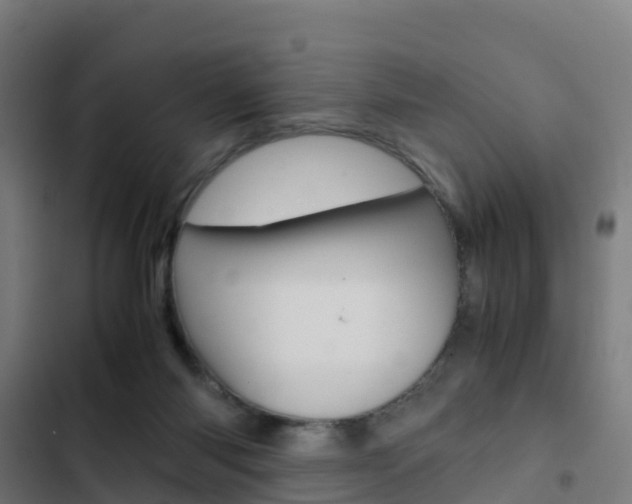 X0000103430118200809121046