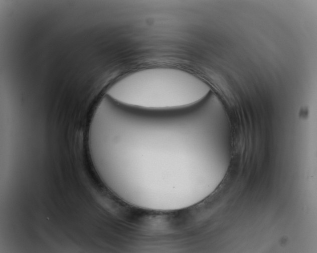 X0000103430120200809121046