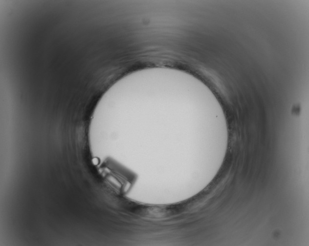 X0000103430121200809121046