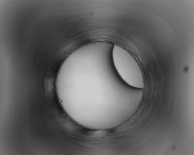 X0000103430122200809121046