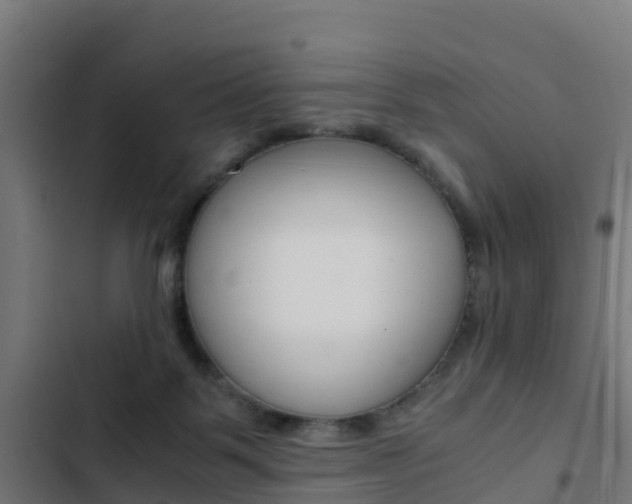 X0000103430123200809121046
