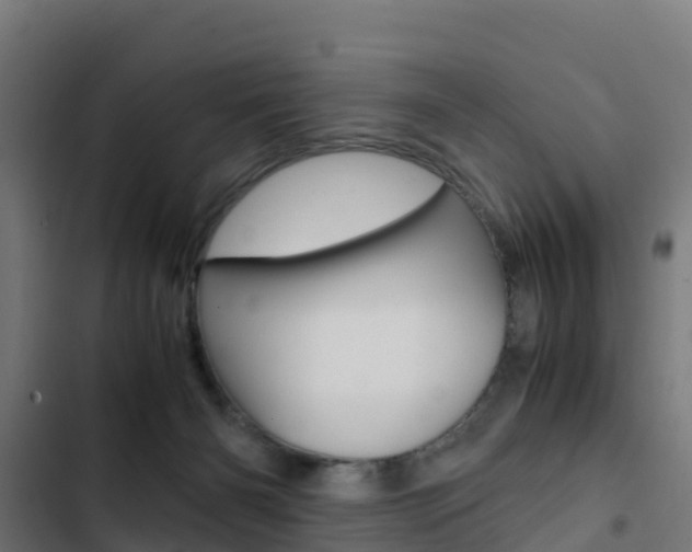 X0000103430126200809121046