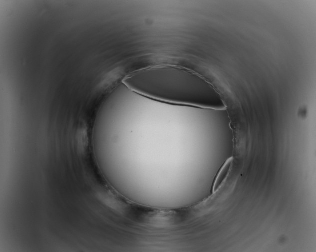 X0000103430128200809121046
