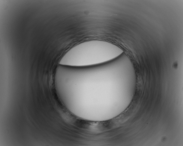 X0000103430130200809121046