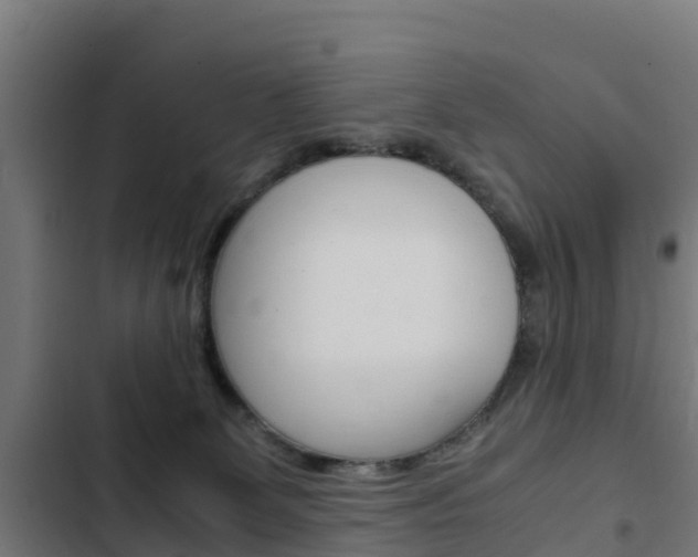 X0000103430131200809121046