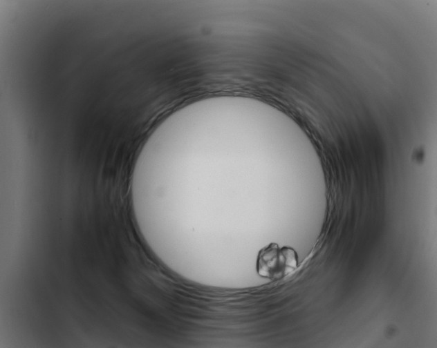 X0000103430132200809121046