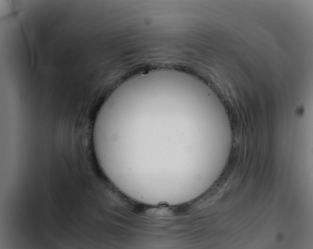 X0000103430133200809121046