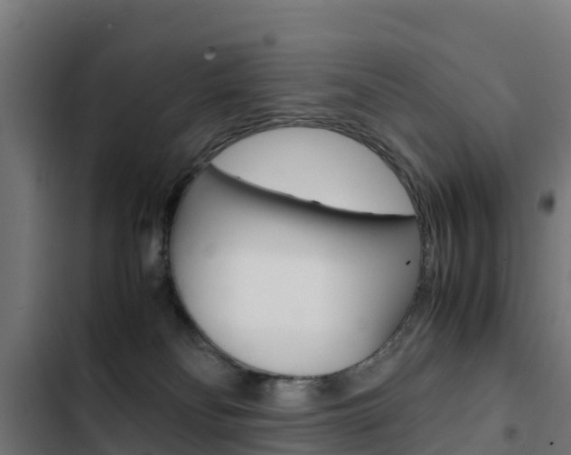 X0000103430134200809121046