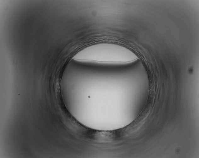 X0000103430137200809121046