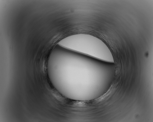 X0000103430140200809121046