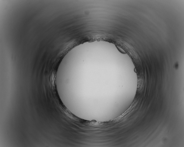 X0000103430142200809121046