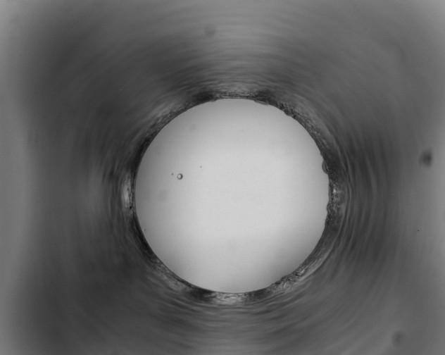 X0000103430143200809121046