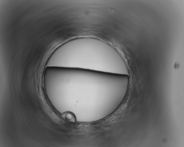 X0000103430145200809121045
