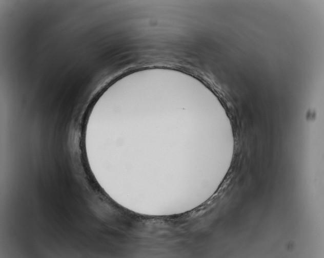 X0000103430146200809121045