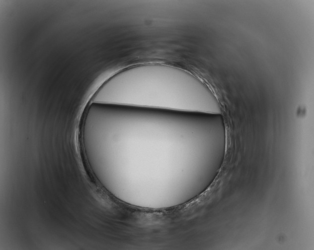 X0000103430147200809121045