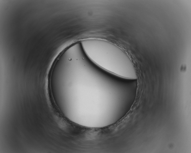 X0000103430148200809121045