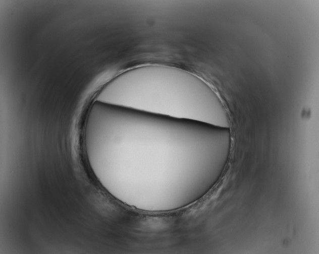 X0000103430149200809121045
