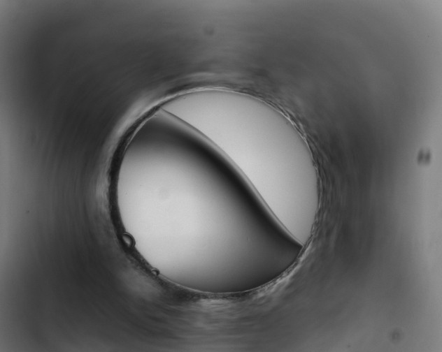 X0000103430150200809121045
