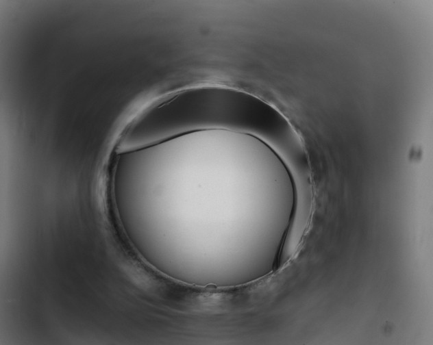 X0000103430152200809121045