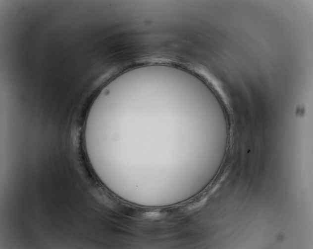 X0000103430153200809121045