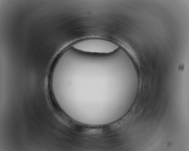 X0000103430155200809121045