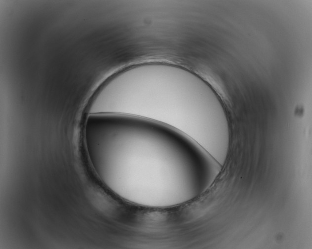 X0000103430156200809121045