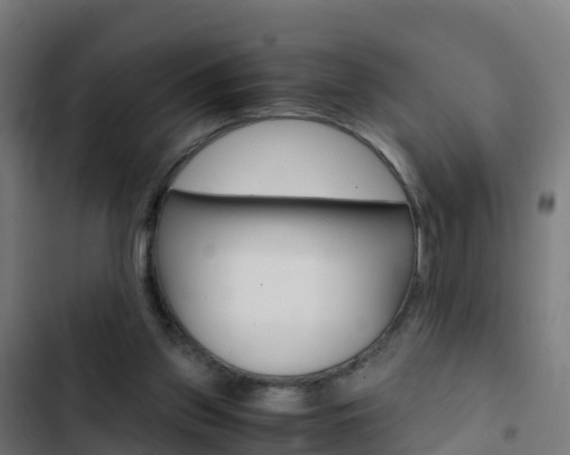 X0000103430157200809121045