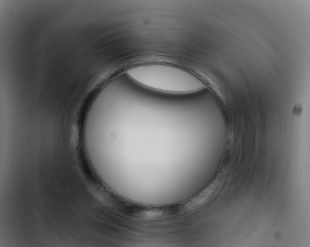 X0000103430158200809121045
