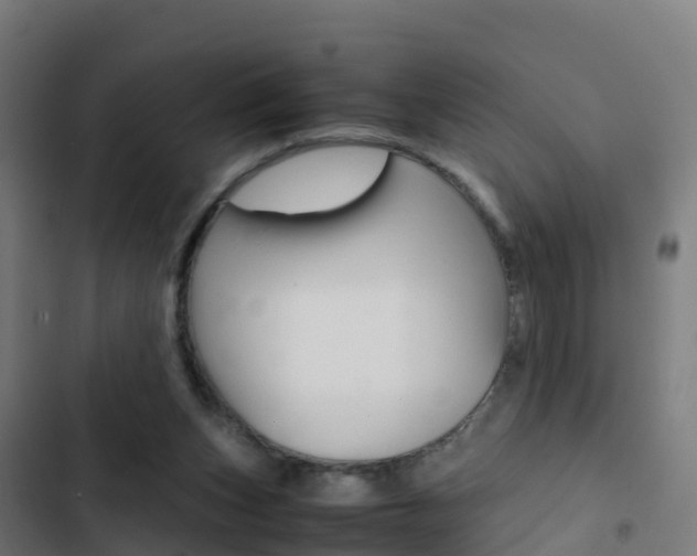 X0000103430159200809121045