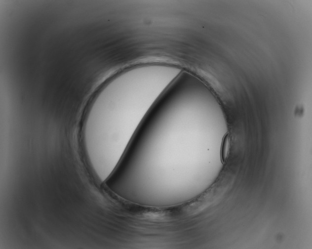 X0000103430160200809121045