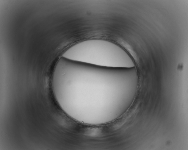 X0000103430161200809121045