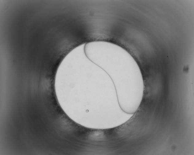 X0000103430162200809121045