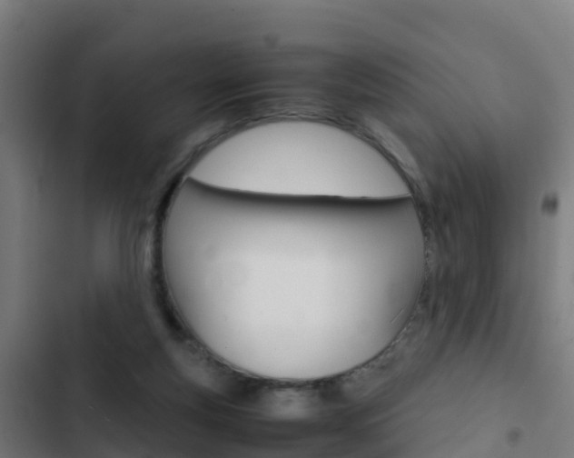 X0000103430163200809121045