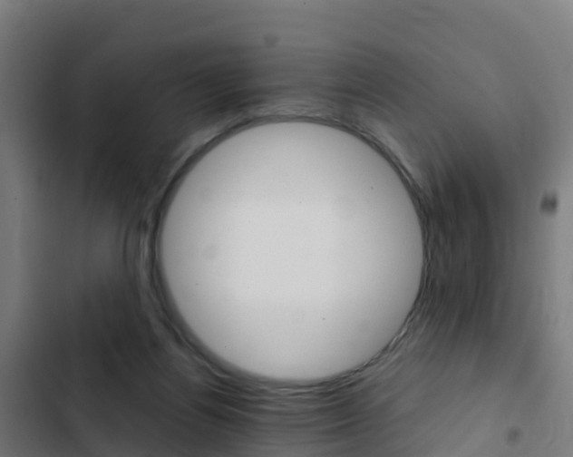 X0000103430164200809121046
